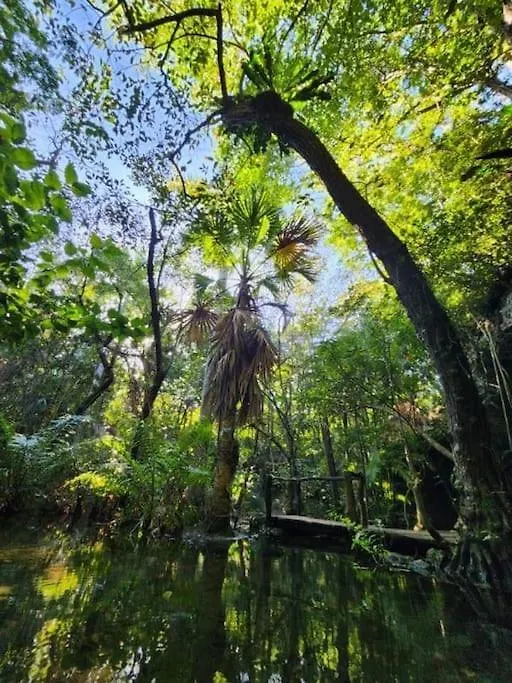 신데 델 카르멘 Palapa De La Selva With Cenotes 빌라
