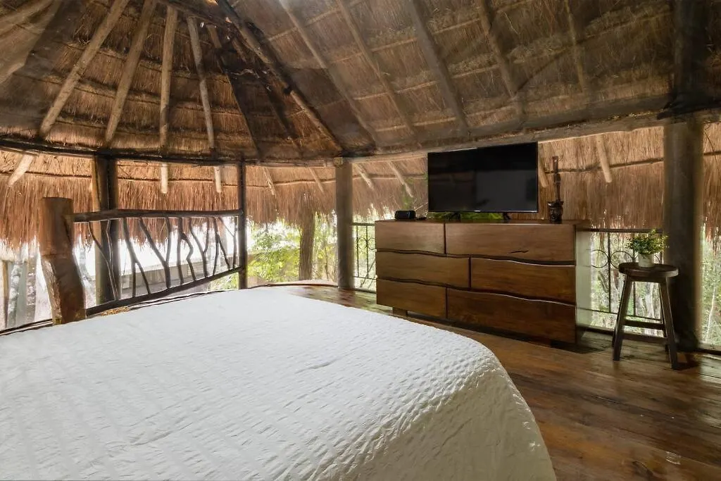 펜션 신데 델 카르멘 Palapa De La Selva With Cenotes 빌라