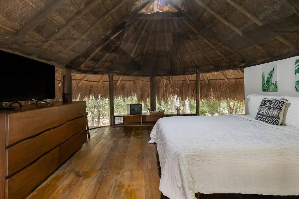 신데 델 카르멘 Palapa De La Selva With Cenotes 빌라 멕시코