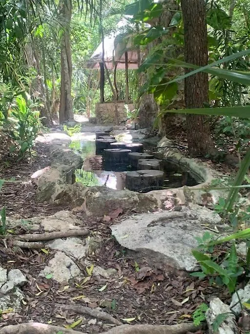 펜션 신데 델 카르멘 Palapa De La Selva With Cenotes 빌라