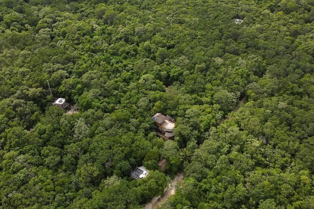 신데 델 카르멘 Palapa De La Selva With Cenotes 빌라 0*, 신데 델 카르멘 멕시코