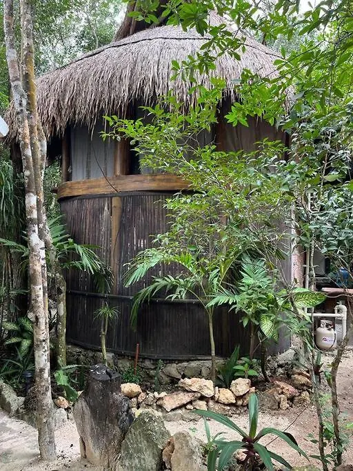 신데 델 카르멘 Palapa De La Selva With Cenotes 빌라 멕시코