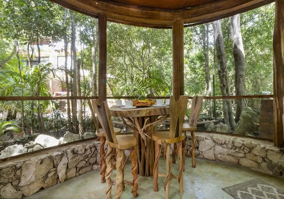 펜션 신데 델 카르멘 Palapa De La Selva With Cenotes 빌라