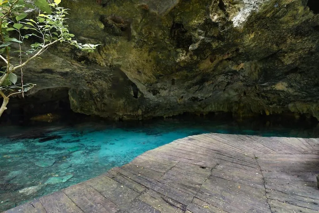 펜션 신데 델 카르멘 Palapa De La Selva With Cenotes 빌라