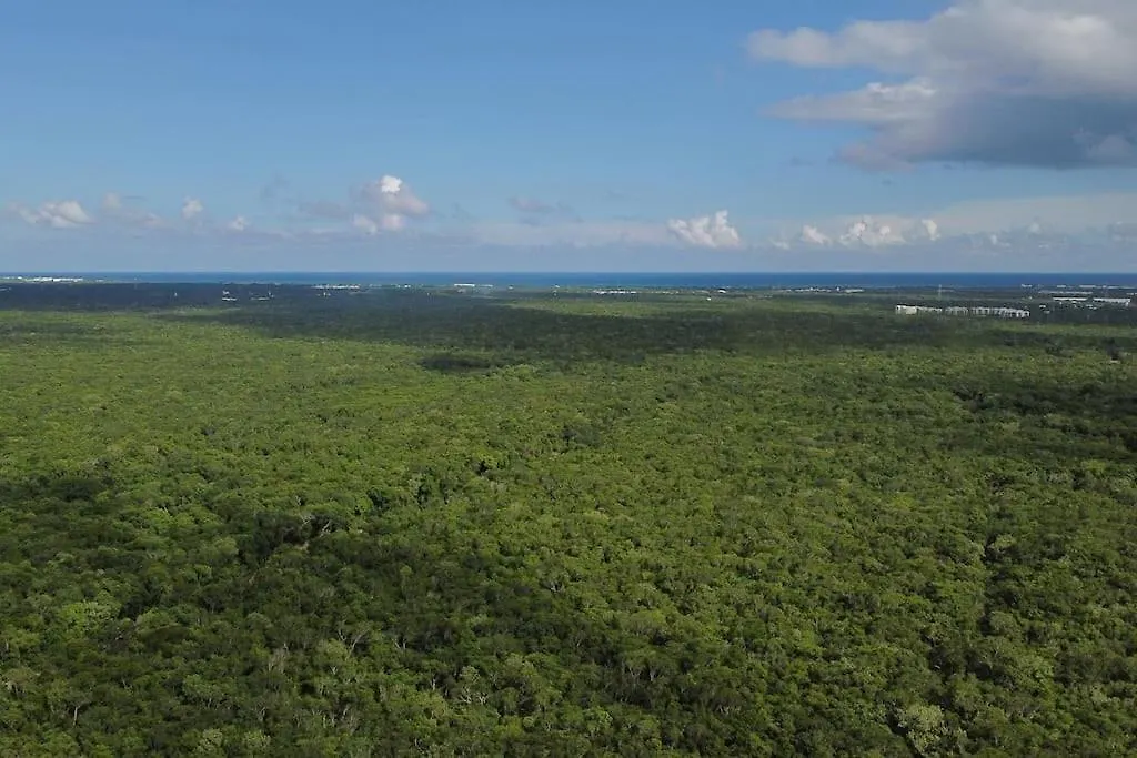 신데 델 카르멘 Palapa De La Selva With Cenotes 빌라
