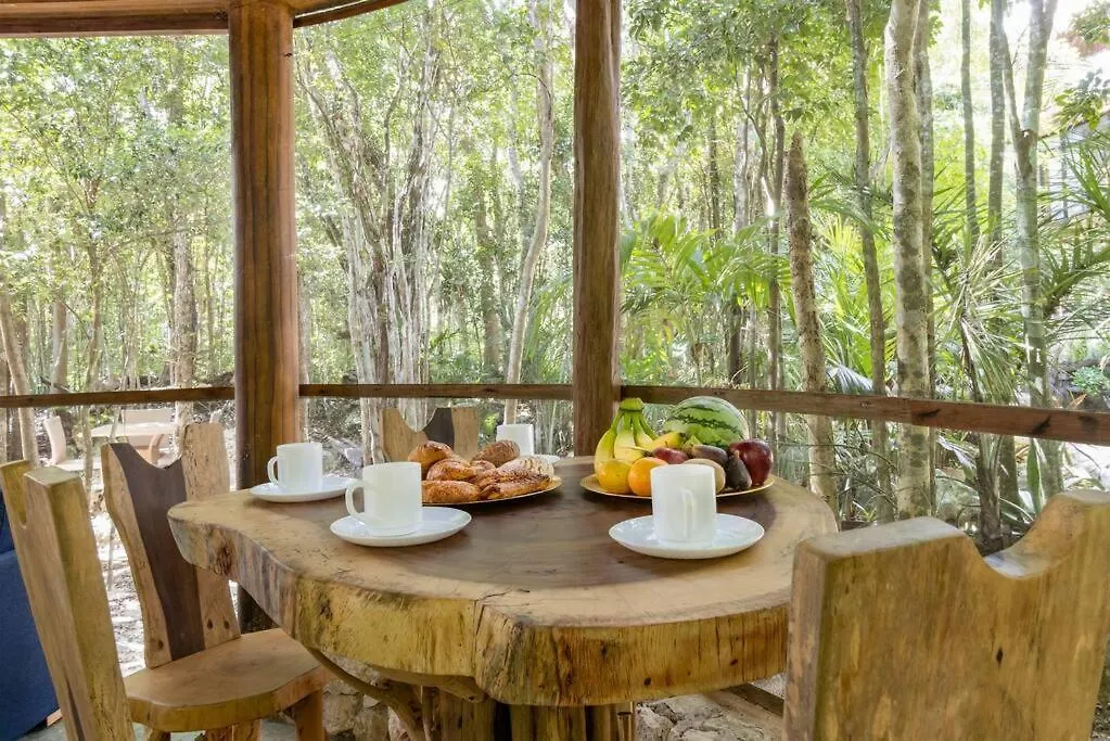 신데 델 카르멘 Palapa De La Selva With Cenotes 빌라 펜션