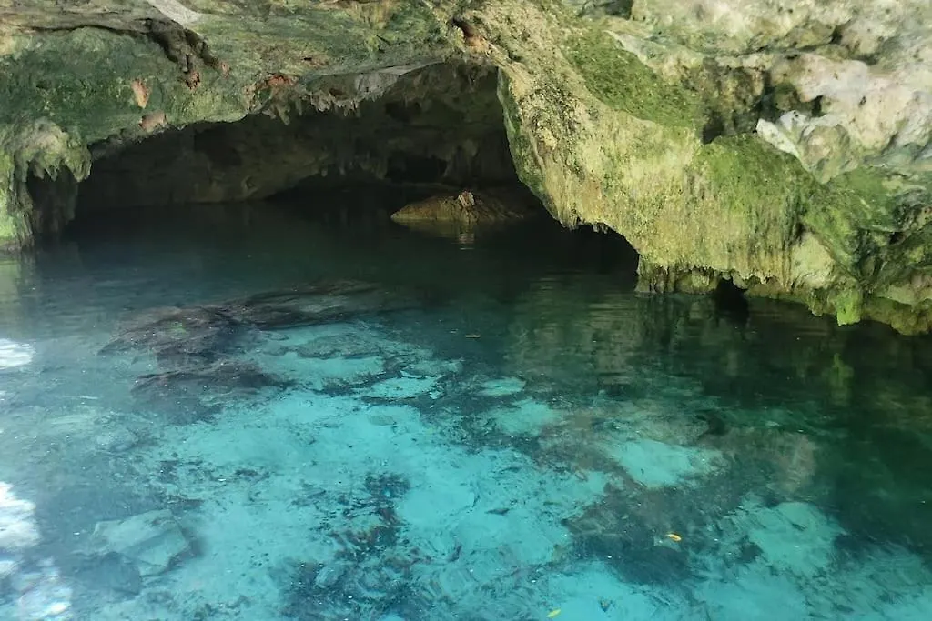 신데 델 카르멘 Palapa De La Selva With Cenotes 빌라 펜션 신데 델 카르멘