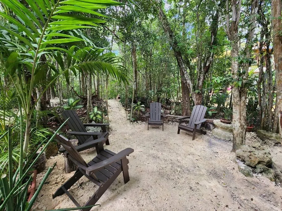신데 델 카르멘 Palapa De La Selva With Cenotes 빌라 0*, 신데 델 카르멘 멕시코