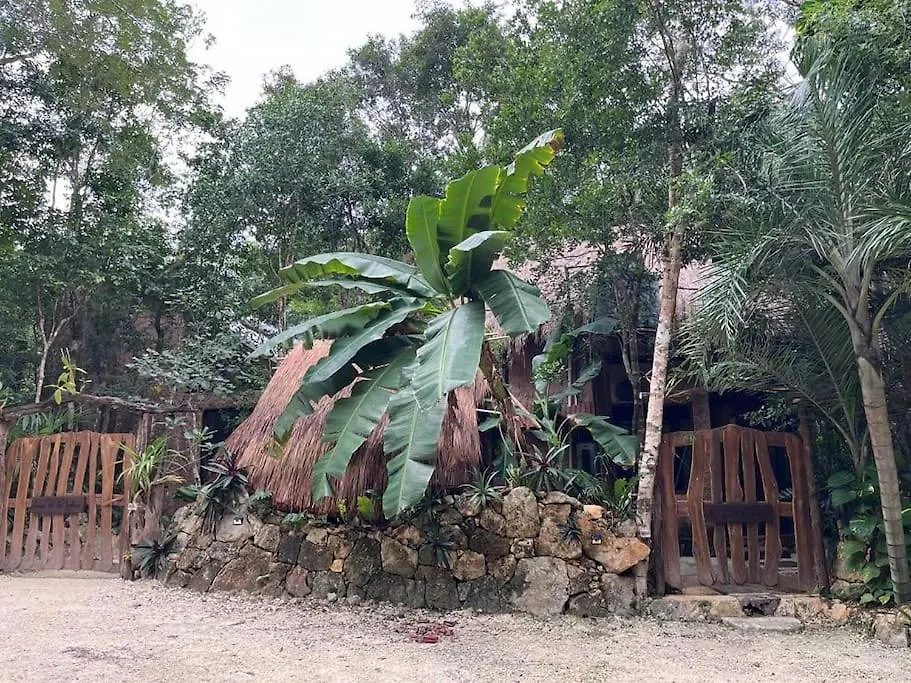 신데 델 카르멘 Palapa De La Selva With Cenotes 빌라 펜션 신데 델 카르멘