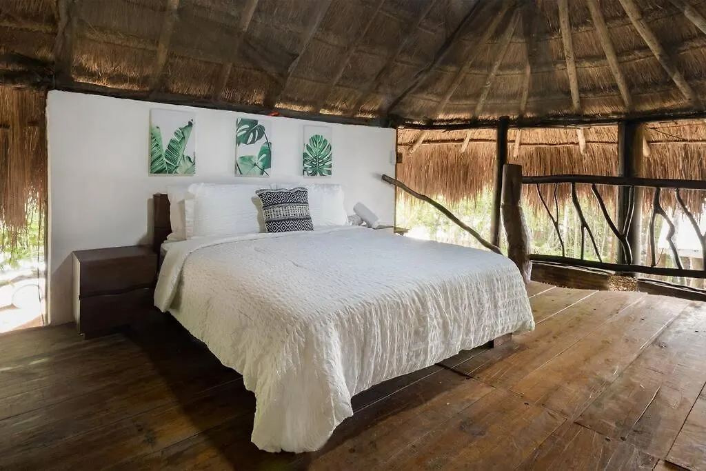 펜션 신데 델 카르멘 Palapa De La Selva With Cenotes 빌라 멕시코