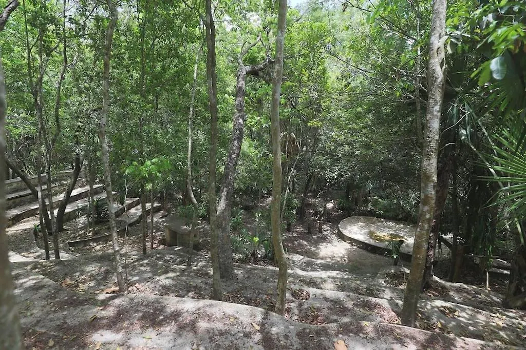 펜션 신데 델 카르멘 Palapa De La Selva With Cenotes 빌라 멕시코