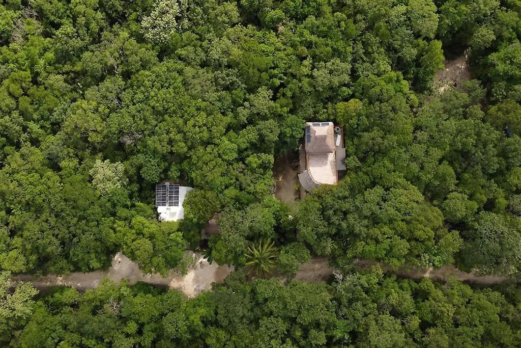 신데 델 카르멘 Palapa De La Selva With Cenotes 빌라 신데 델 카르멘